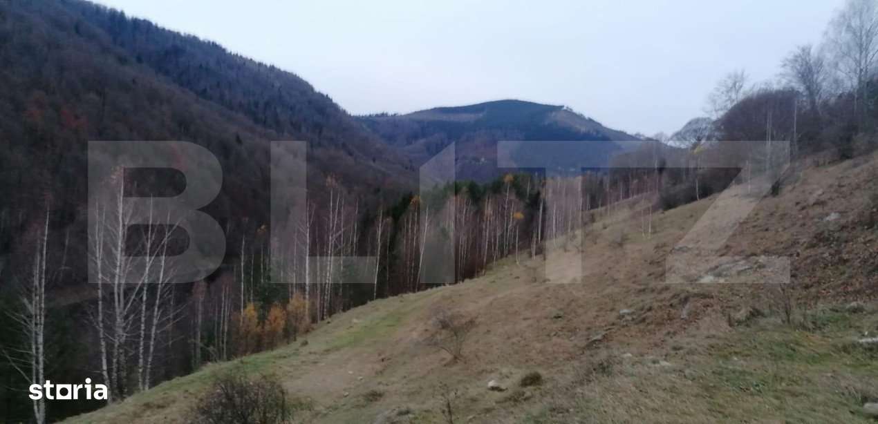 Teren 14 ha compact langa Lacul Tau Bistra - Imagine principală: 4/7