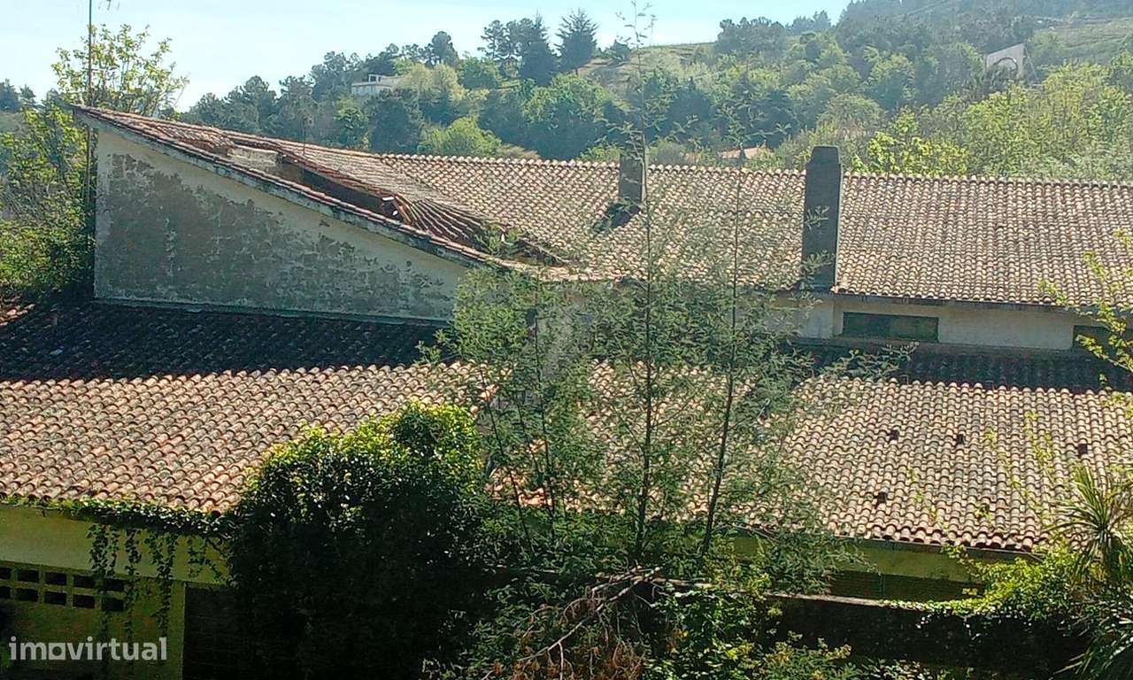 Terreno para Venda em Lamego: Grande Oportunidade de Investimento-15