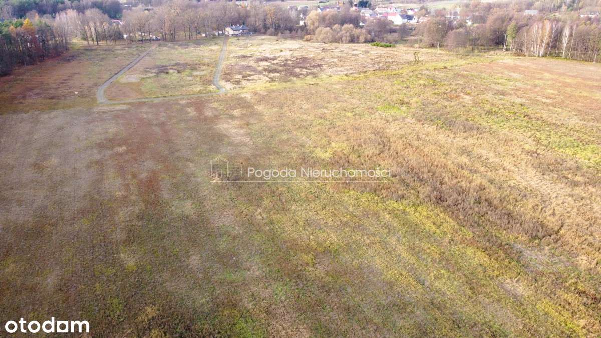 Działki na sprzedaż - Trzebule-6