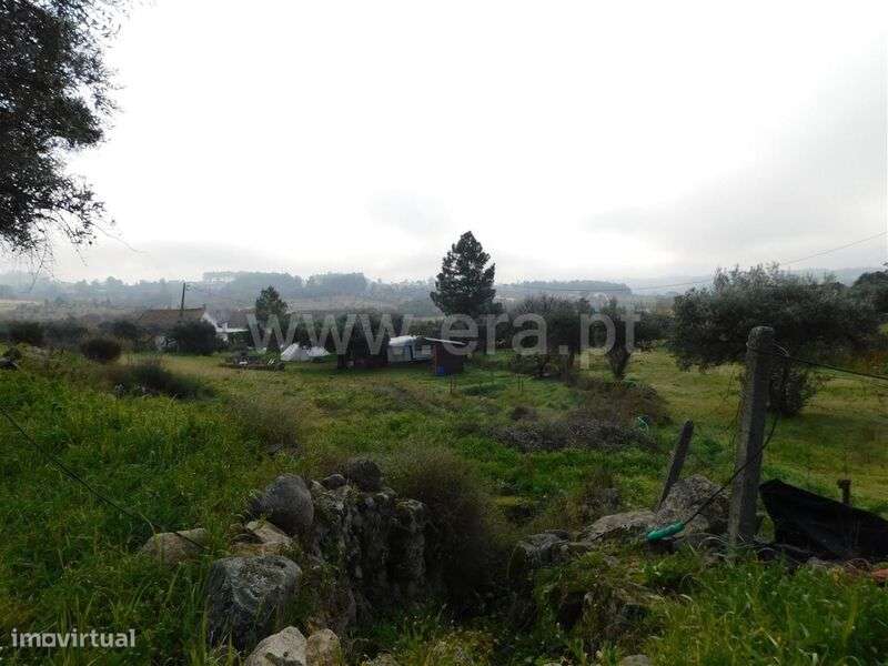 Quinta T1 / Fundão, Mata da Rainha - Grande imagem: 4/14