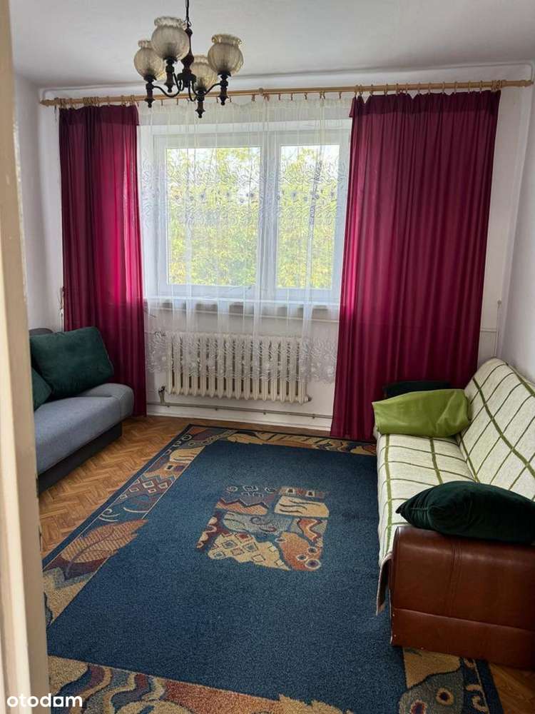 Dom w Końskich ulica Spacerowa. Super cena.-5