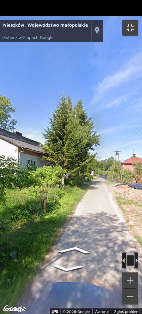 Sprzedam Dom do Remontu   na dużej 33 arowej Budowlanej działce-2