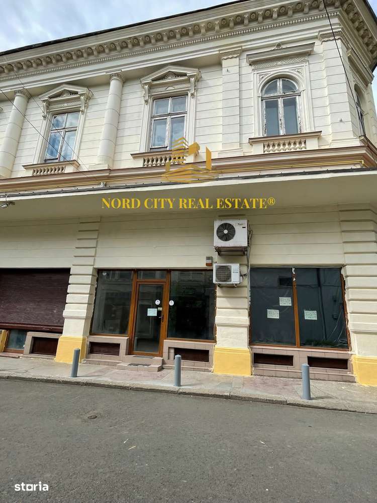 Vanzare Cladire Istorica-Centrul vechi-Unirii-Ultracentral-Investite - Imagine principală: 2/20