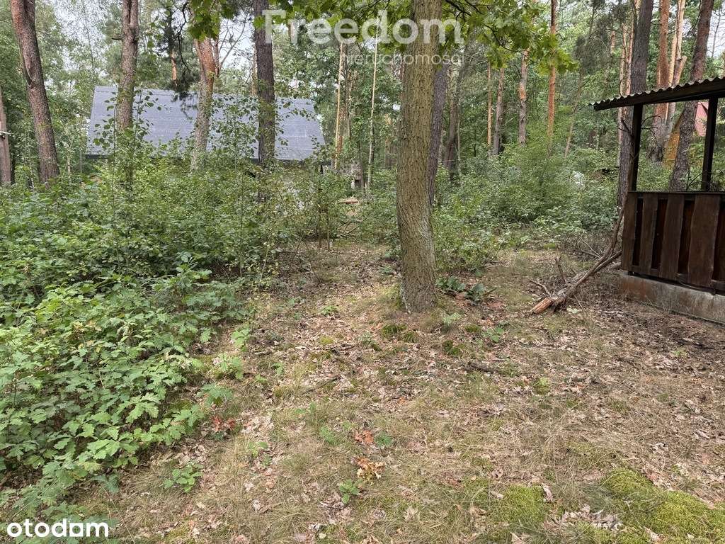 Okazja piękna działka blisko rzeki Pacynki - Pełny obrazek: 4/19