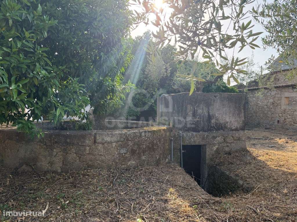 Moradia independente com 500 m2 de construção e terreno com 10.000 m2-12