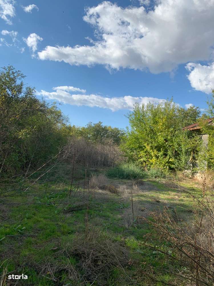 Dor Marunt  teren cu casa 2800mp-2