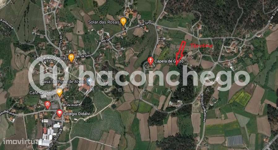 Terreno agricola Alvito São Pedro Barcelos-8