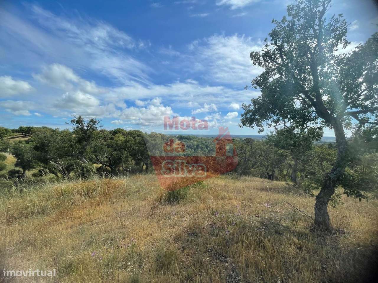Quinta com 3,9 ha e Vista Mar em São Francisco da Serra-12
