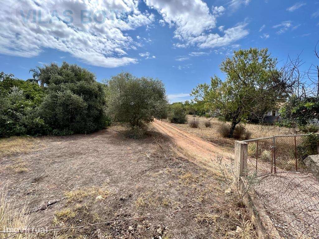 Lote de Terreno em Vale de Éguas - Grande imagem: 3/12