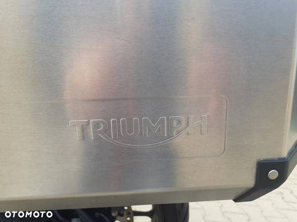 Triumph Tiger - 15