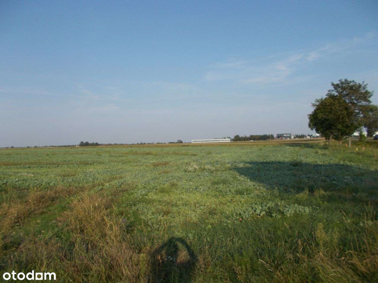 Działka we Wróblowicach DK94 vis-a-vis Orlen - Pełny obrazek: 5/8