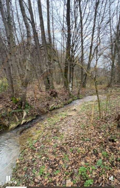 Teren intravilan 6.500 m²–Deschidere 144 ml drum european E81, km 3 - Imagine principală: 3/5