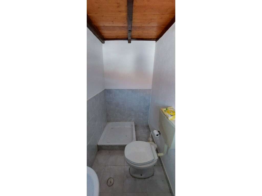 HERDADE 92 ha l Colos-11