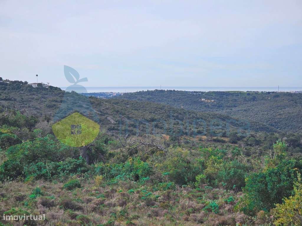 Terreno Rústico, com ruina não registada, em local muito calmo, bom... - Grande imagem: 4/34