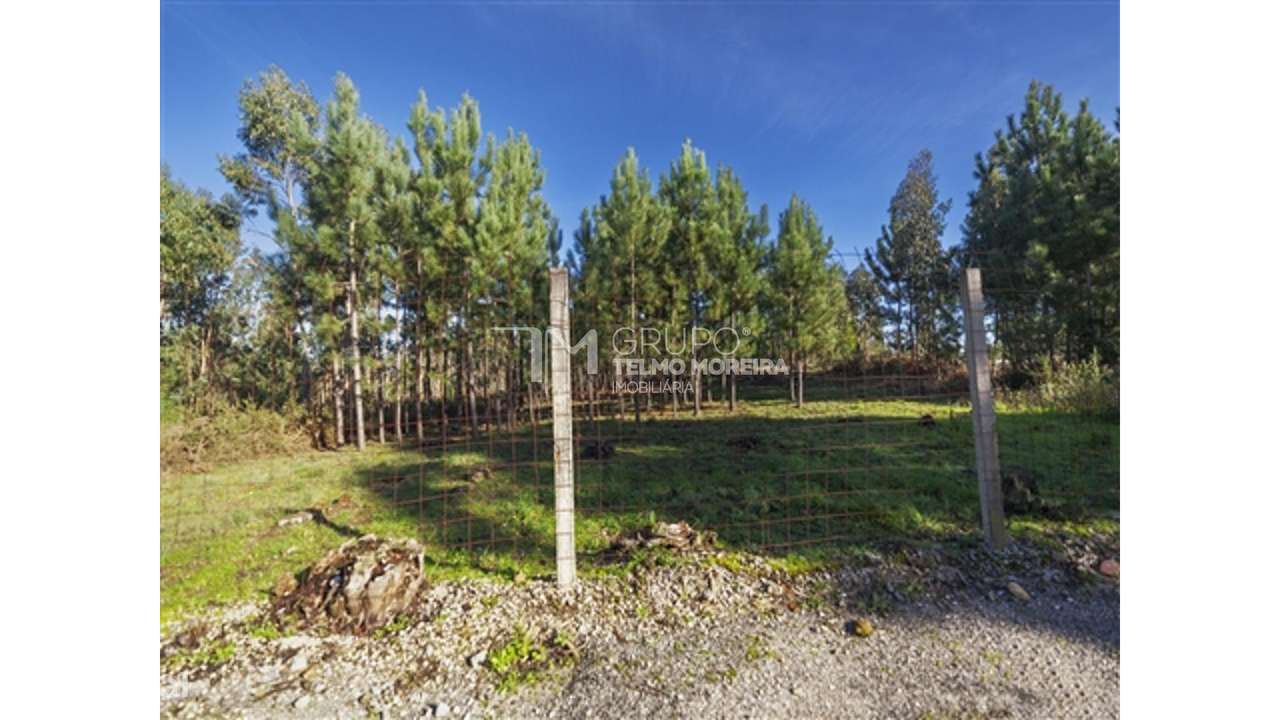 Terreno construção (Pisão) Pedroso - Grande imagem: 2/5