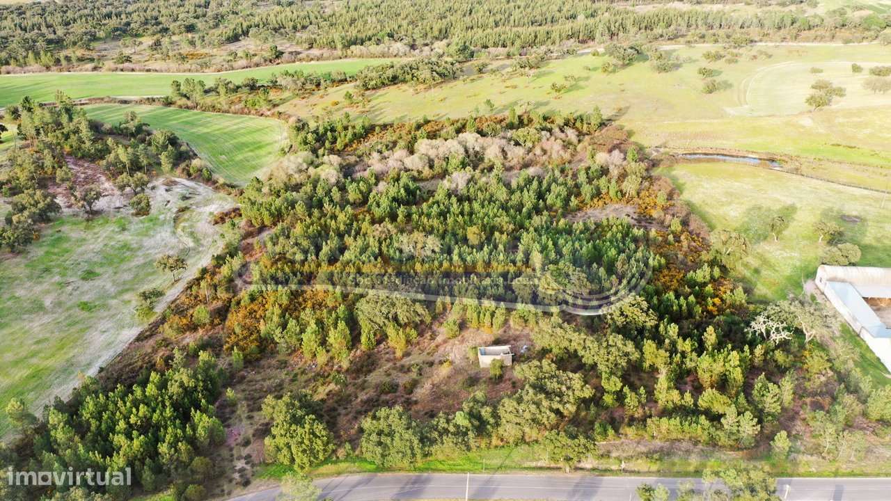 Terreno em Coruche (CRCH166) - Grande imagem: 5/11