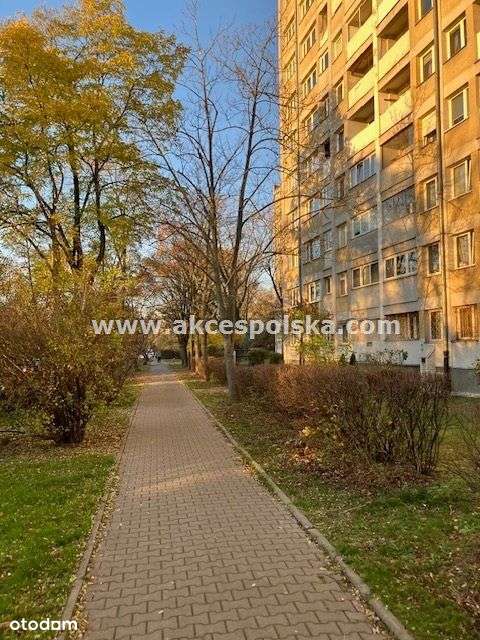 Mieszkanie z dużym potencjałem do aranżacji-14