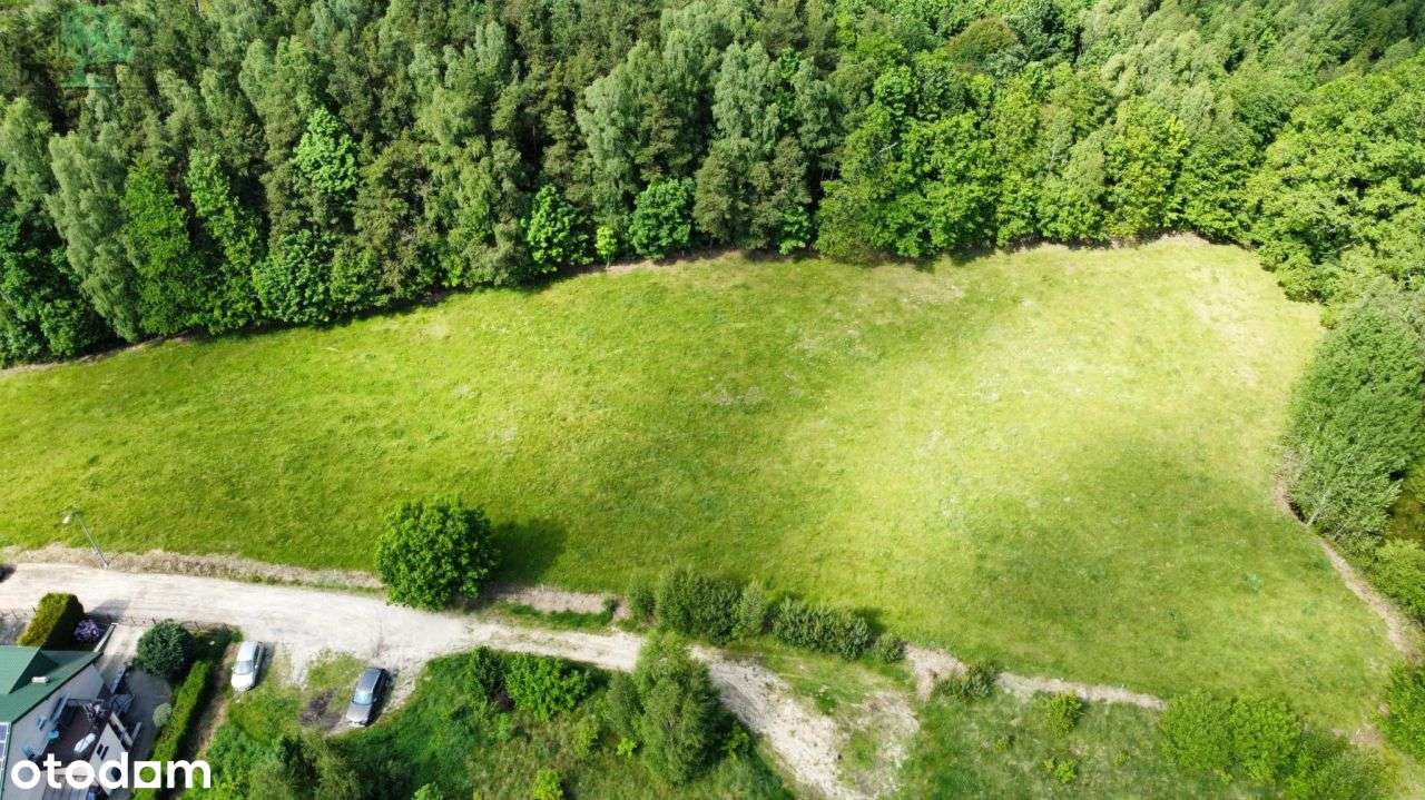Działki pod lasem - budowlane z Wz - Leśniewo-11