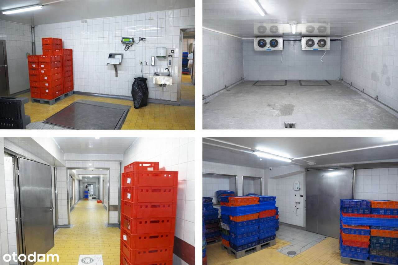 Polecamy czynny zakład rozbioru drobiu plus hostel!-6