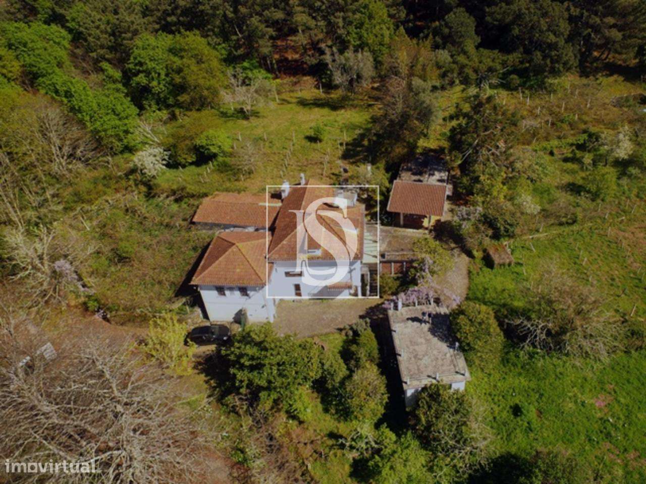 Quinta (Com Moradia T4) em Seixas - Grande imagem: 2/11