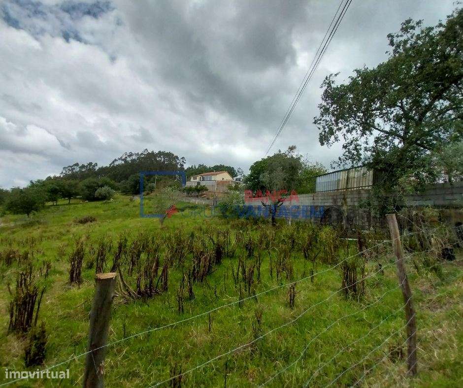 TERRENO RÚSTICO COM 1150 M2, SANTIAGO DO LITÉM - Grande imagem: 3/11