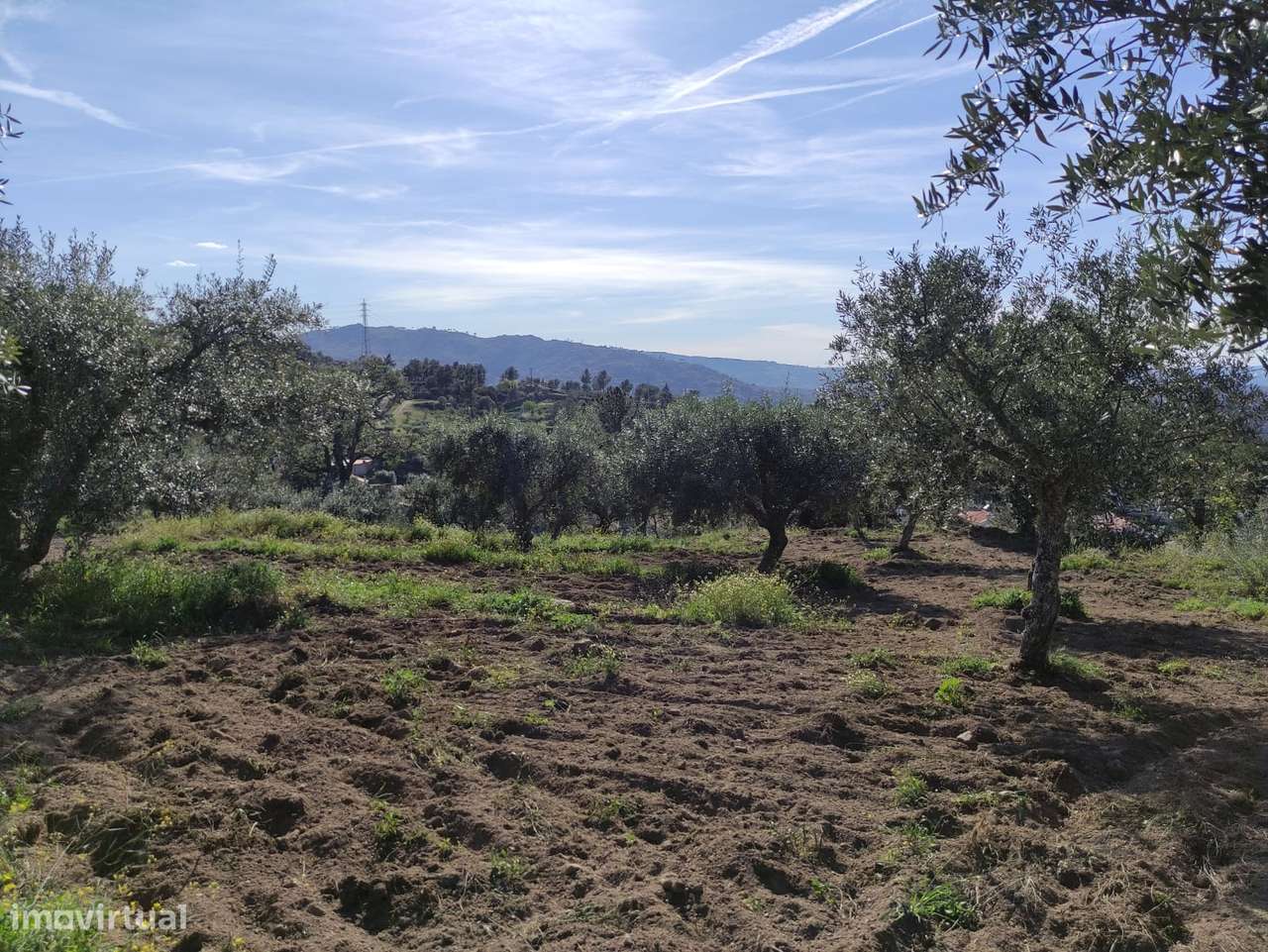 Quintinha  Venda em Sobral da Serra,Guarda - Grande imagem: 4/9