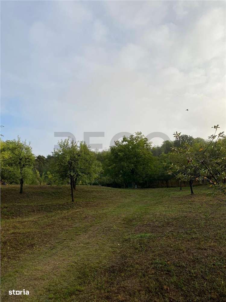 Reco Teren intravilan zona Mini Paradis - Imagine principală: 1/3