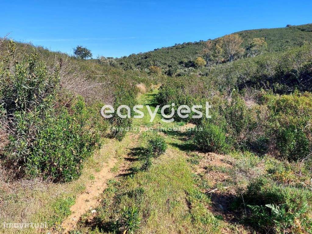 Monte Alentejano para recuperar localizado no concelho de Mértola - Grande imagem: 5/8