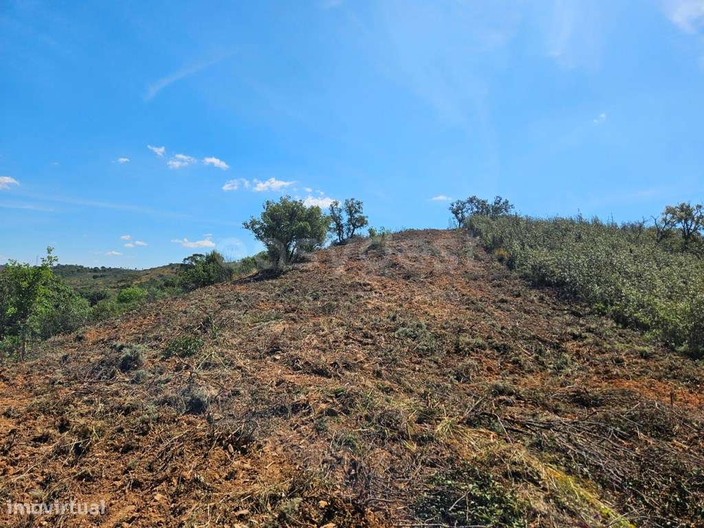 Terreno Rústico em São Bartolomeu de Messines - Grande imagem: 4/23
