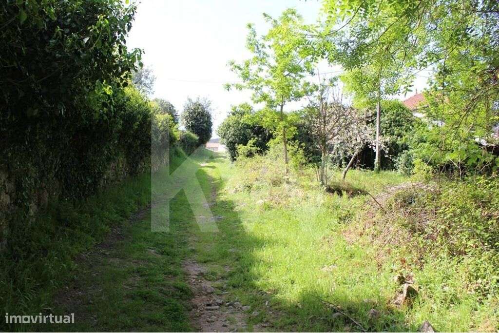 Moradia e terreno com 4200m2 em Valença. Investimento Estratégico em T - Grande imagem: 5/20