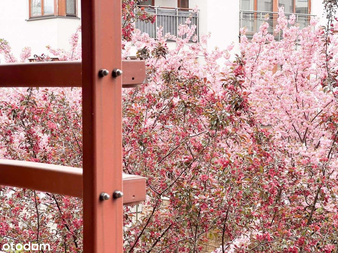 Apartament Wilanów 125m2 4 pokoje 1 piętro - Pełny obrazek: 2/20