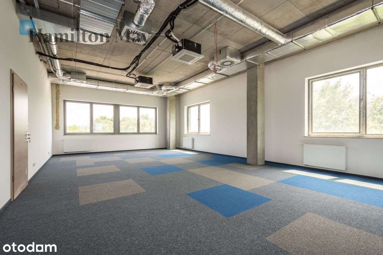 Lokal biurowy - Rybitwy - Pełny obrazek: 4/20