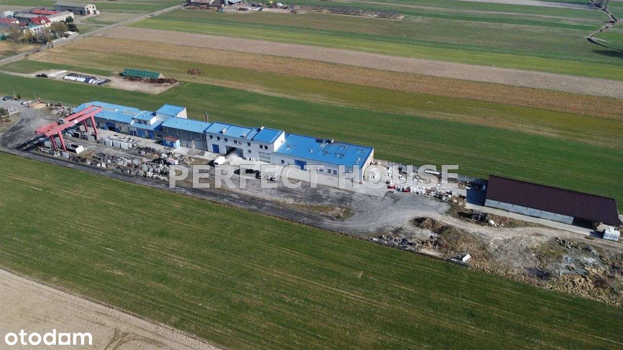 Hale, suwnica 25t, prąd 200/400kW - Pełny obrazek: 4/5