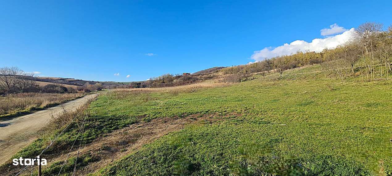 Teren intravilan\constructii \Sura Mare \ Sibiu-7