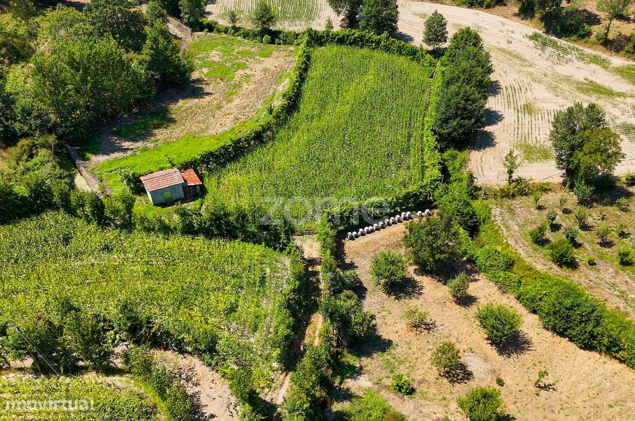 Terreno, 2 386 m², São Gens-25