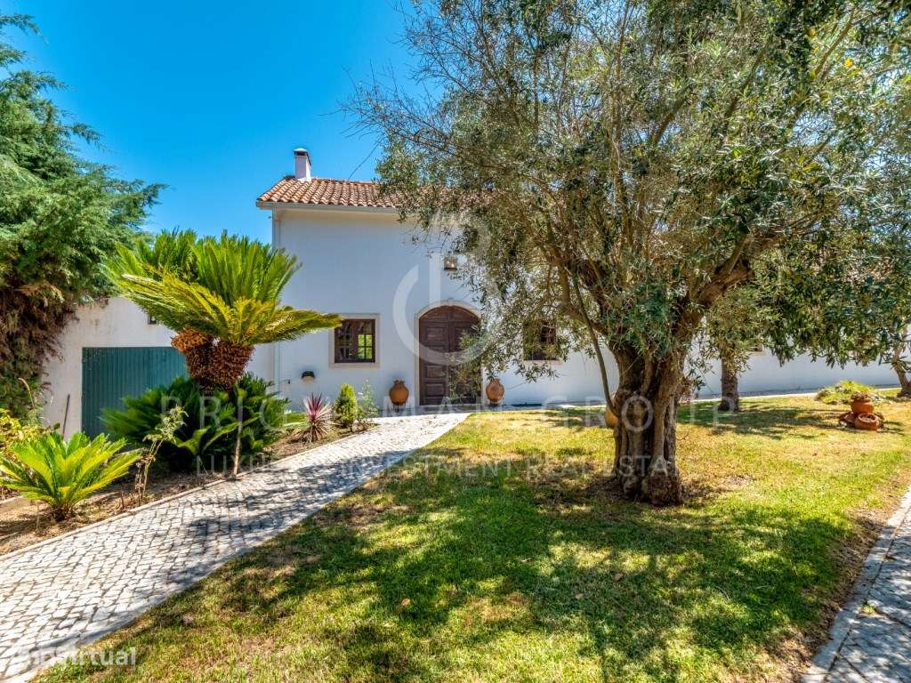 Quintinha, Casa de Campo T4+1 em Rio Maior - Grande imagem: 4/31