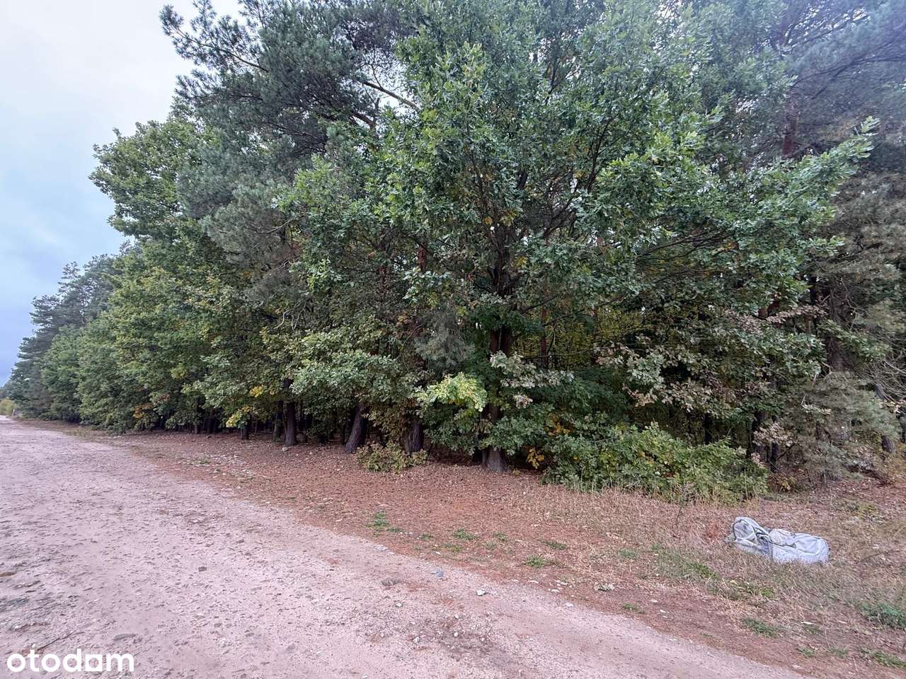 Działka Serock Marynino ulica Cedrowa-11