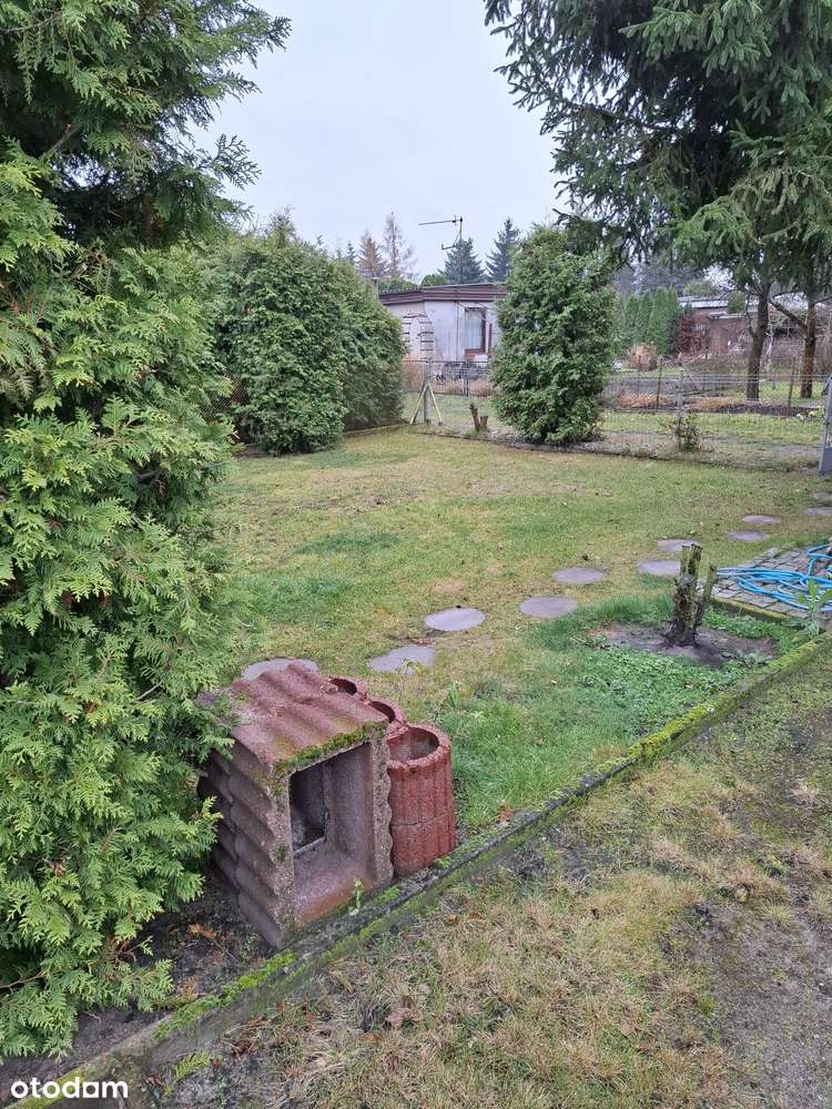 Ładna działka ROD Zielony Gaj na Prądach. OKAZJA!!!-10