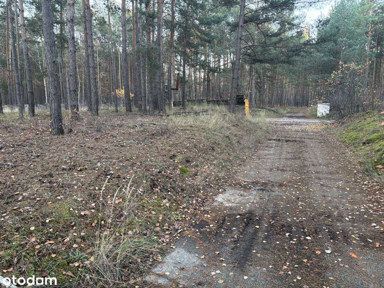 Działka inwestycyjna 1,666 ha - Brożek, Lubuskie-9