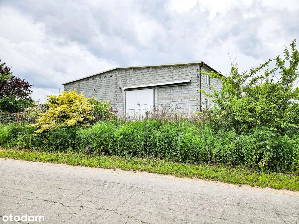 ⚡Chłodnia⚡Gospodarstwo rolne⚡Sad jabłoniowy⚡ - Pełny obrazek: 5/15