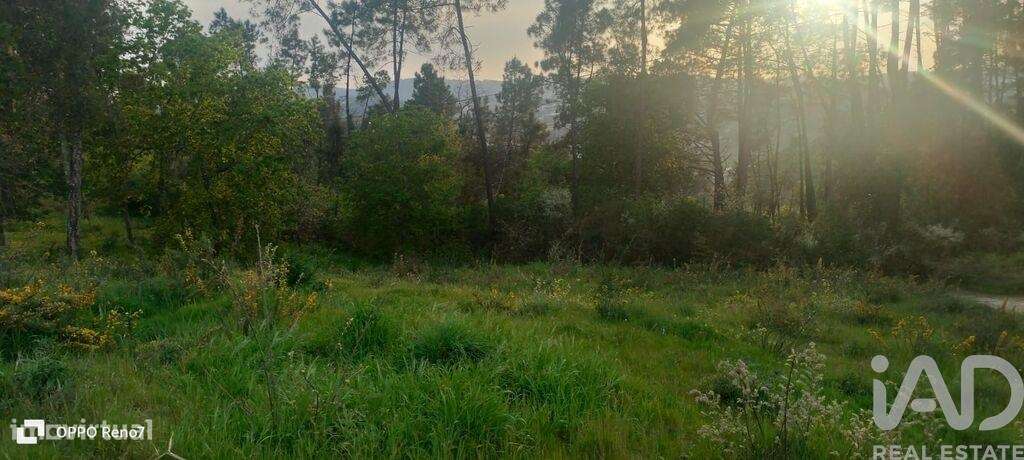 Terreno para construção em Santo isidoro e livração de 4200,00 m2 - Grande imagem: 4/30