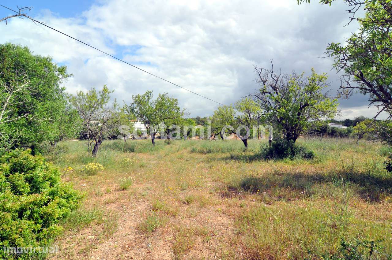 Terreno Rústico  Venda em Pechão,Olhão - Grande imagem: 5/8