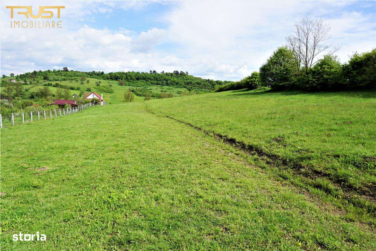 Teren intravilan Valea Castailor Bistrita - Imagine principală: 3/7