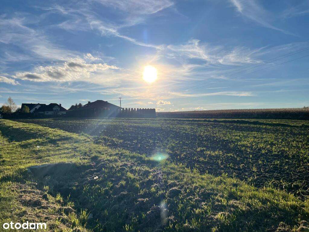 Przestronna,  26 arowa  działka budowlana w Osieku-10