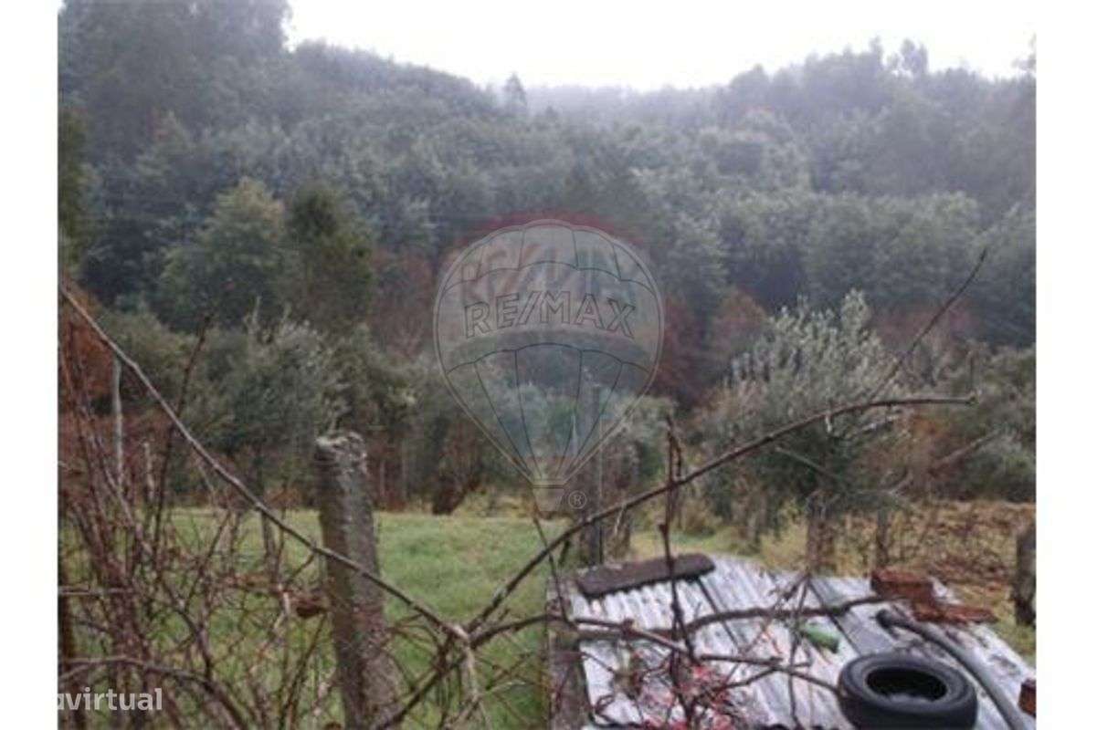 Terreno para construção - Grande imagem: 3/7