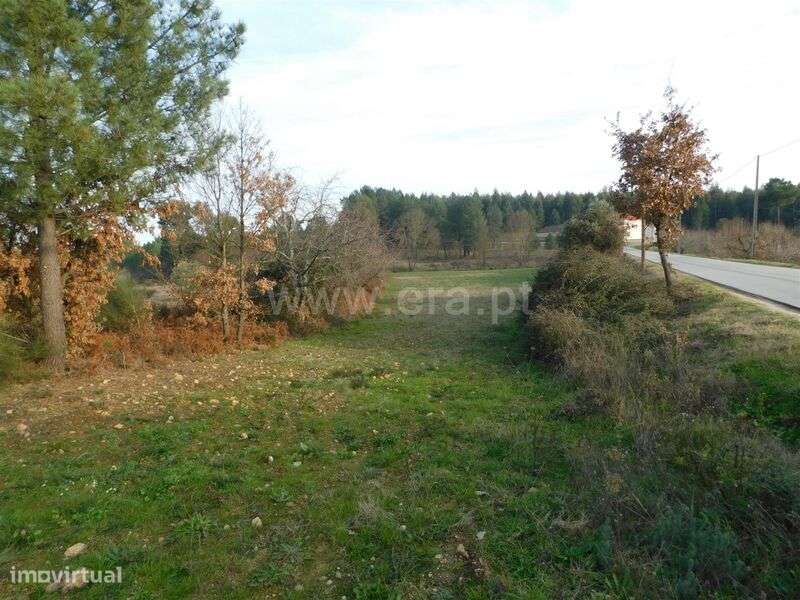 Terreno Rústico / Fundão, Enxames - Grande imagem: 5/5