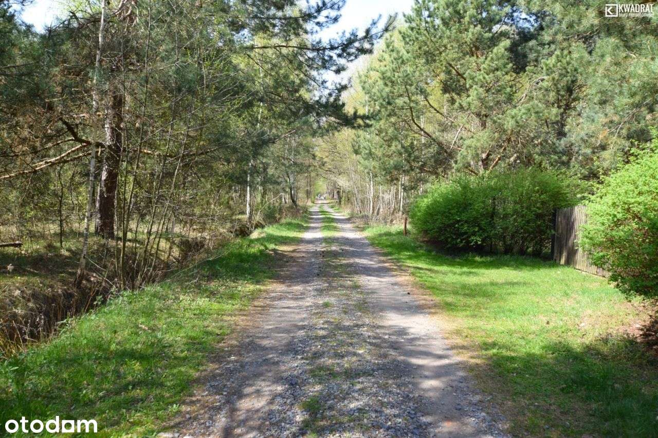 Działka 3800 m2- Nowy Staw - Pełny obrazek: 4/9