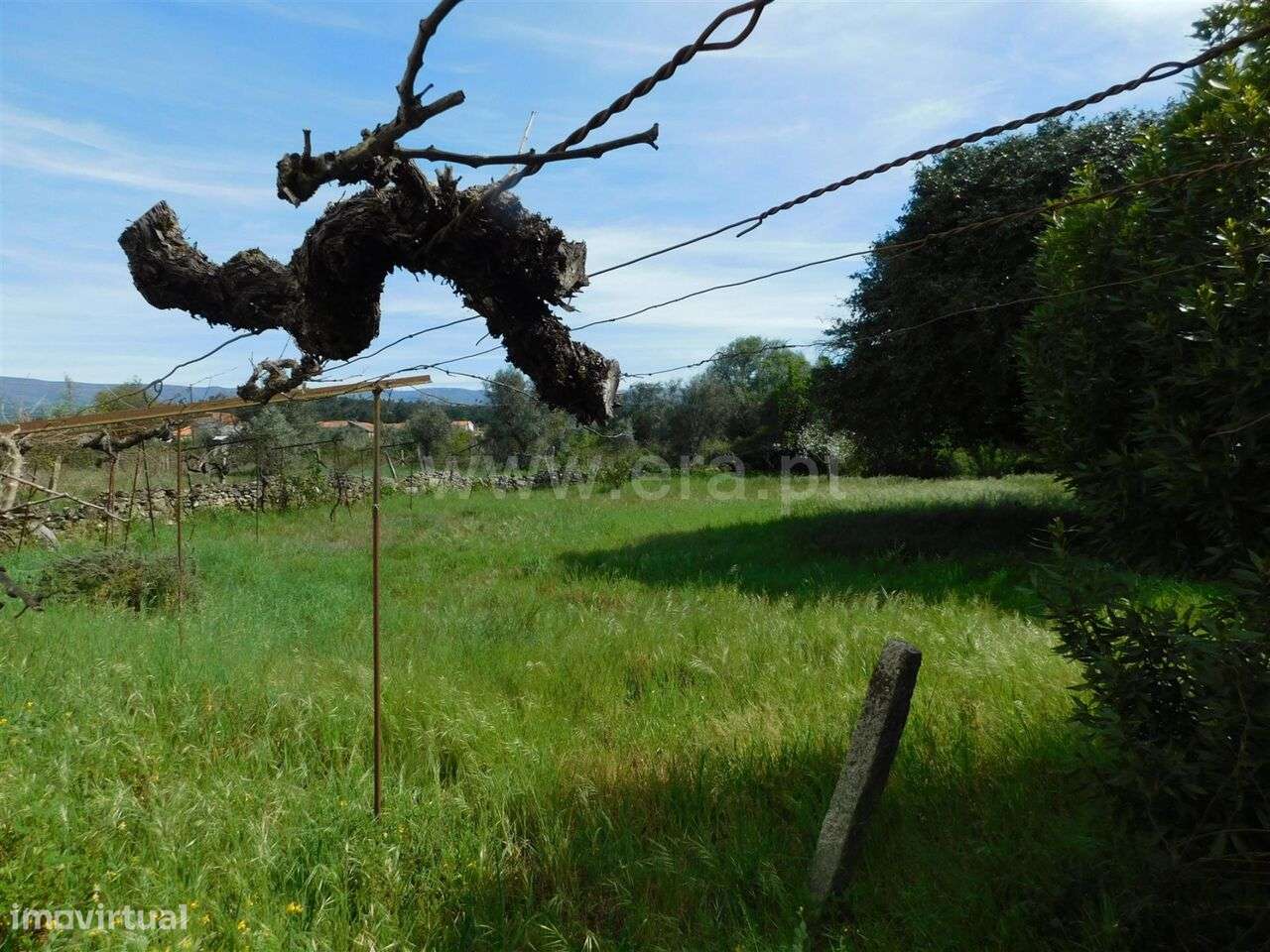 Terreno / Gouveia, Cativelos - Grande imagem: 3/12