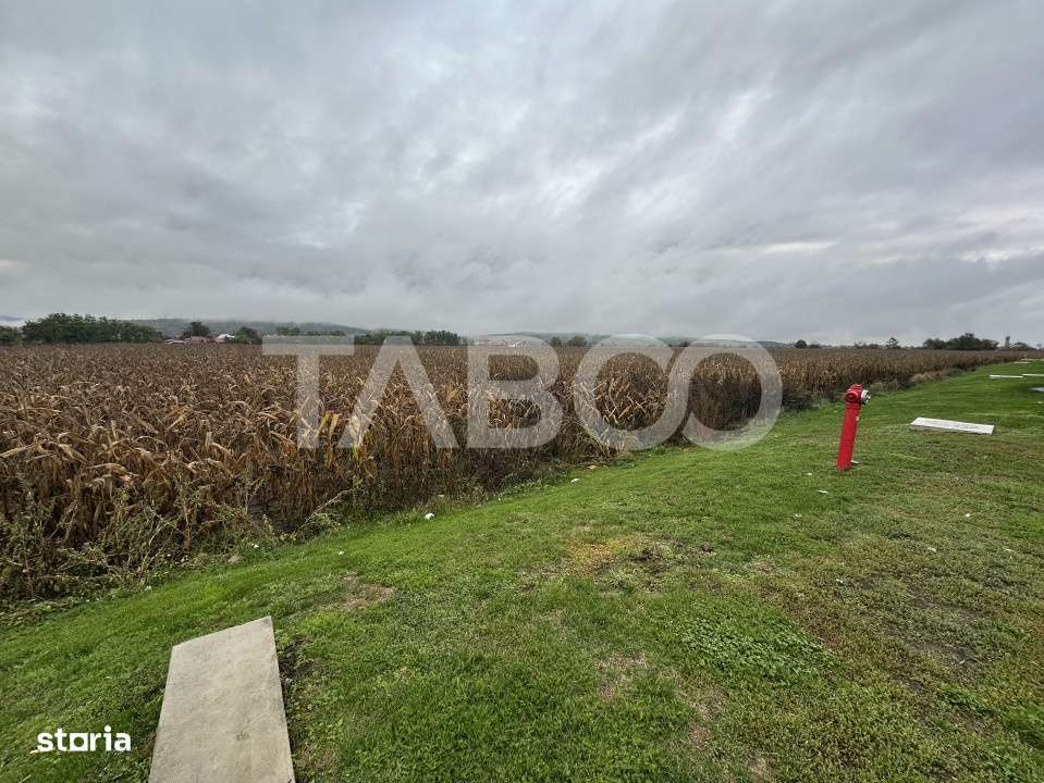 Teren intravilan de vanzare 8000 mp cu utilitati in apropiere - Imagine principală: 4/4