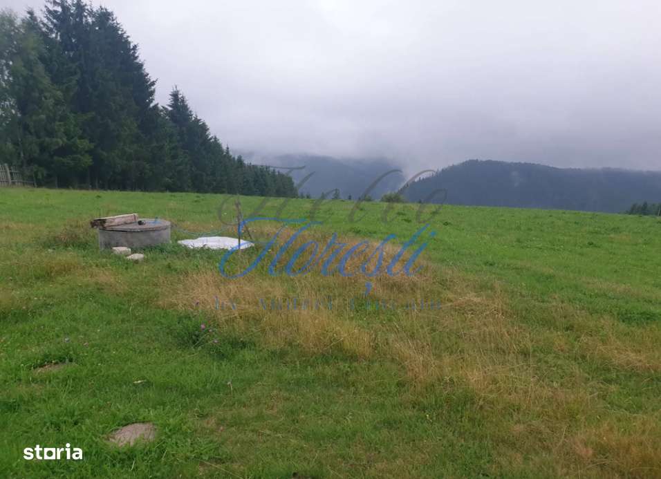 Teren de vanzare partial intravilan, Rasca, 10989mp - Imagine principală: 1/3